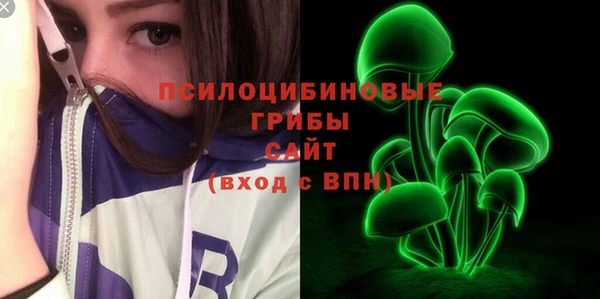 бошки Балахна