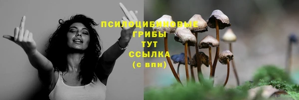 амф Баксан