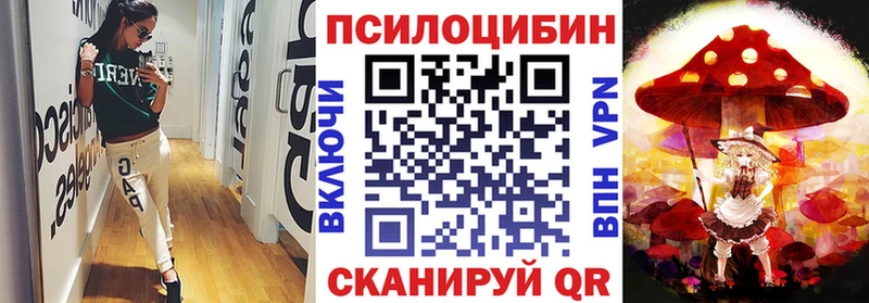 купить наркотики цена  Кушва  Псилоцибиновые грибы Psilocybine cubensis 